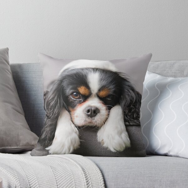 Item preview, King Charles Spaniel designed and sold by WhenMondayComes.