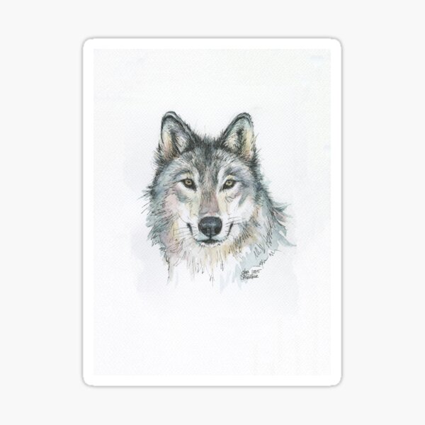 Wolf Aquarell Portrait Wildtier Kunst Sticker