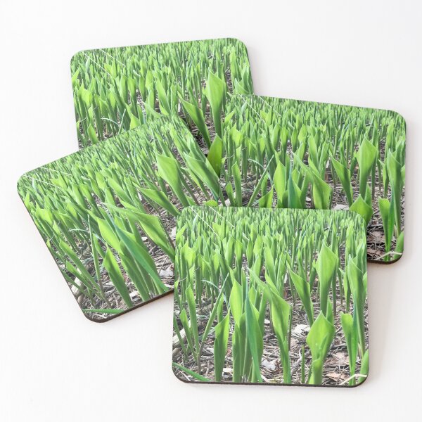 Item preview, Happiness Journal Spring Lilies of the Valley designed and sold by HappinessJ.
