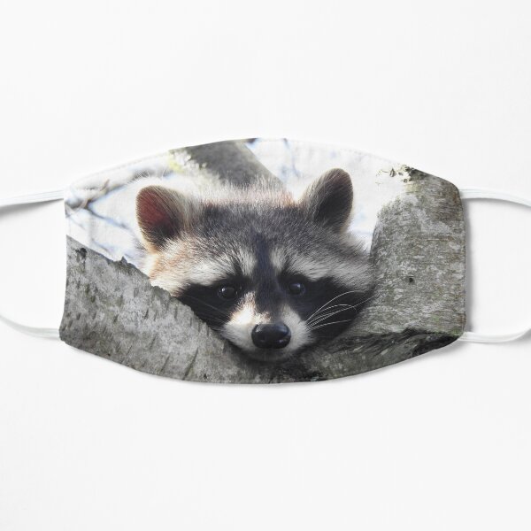 Bored Raccoon Flat Mask