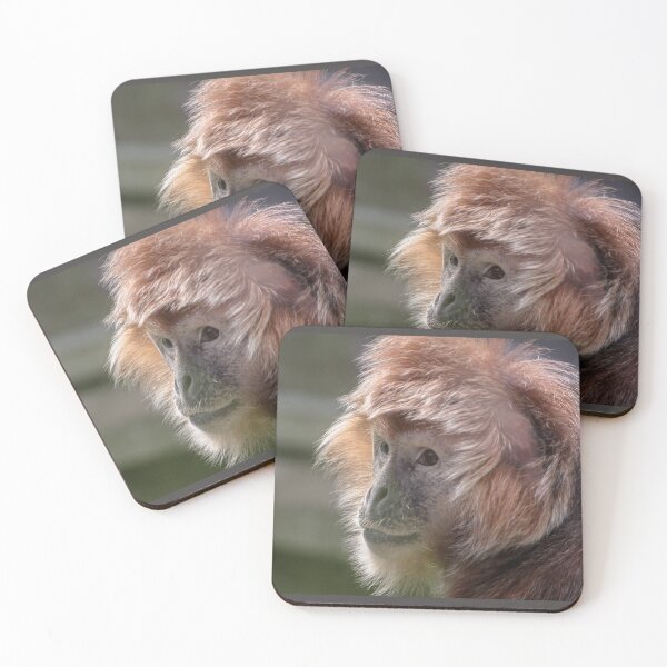 Item preview, Javan langur designed and sold by KcsArt87.