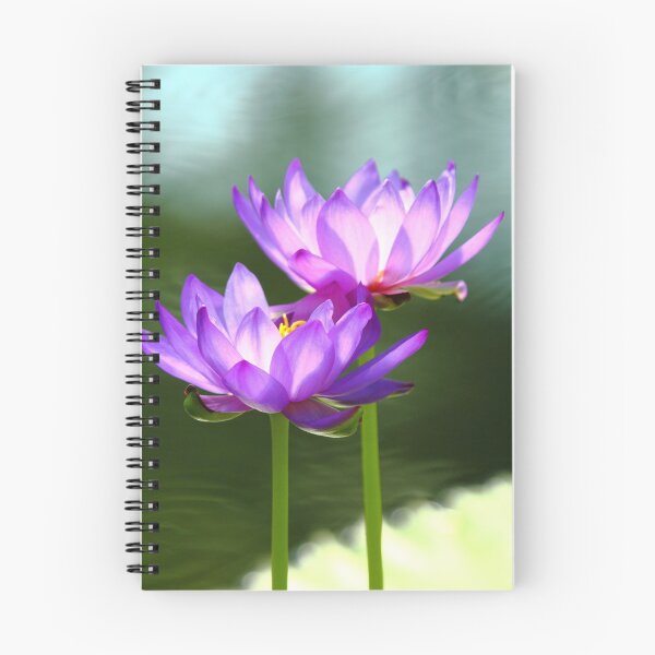 Item preview, Waterlilies designed and sold by CBoyle.