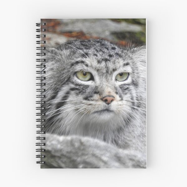 Item preview, Pallas's Cat designed and sold by wenniewombat.