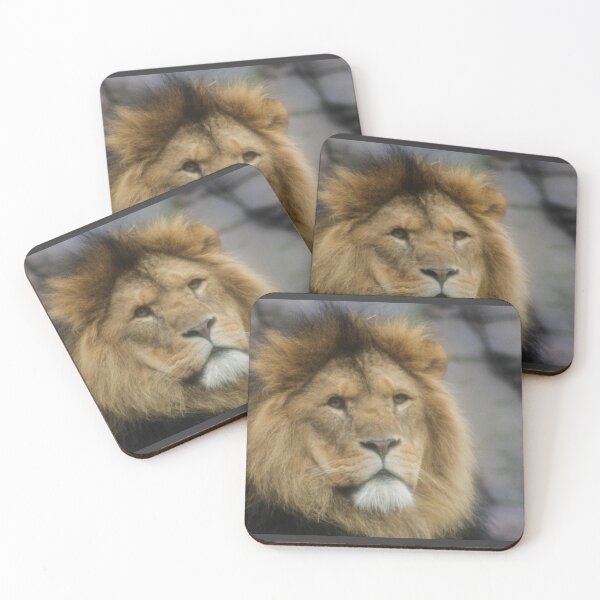 Item preview, Male Lion Portrait designed and sold by KcsArt87.