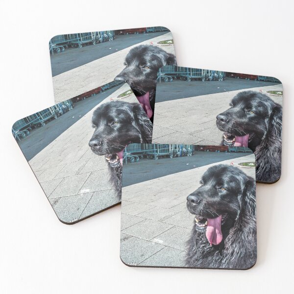 Item preview, Just, enjoying the sun.... designed and sold by buddybetsy.