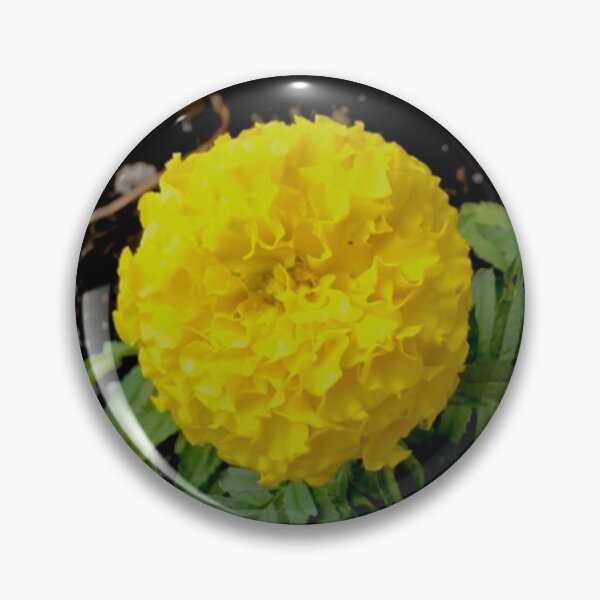 Item preview, Yellow, Yellow! designed and sold by KazM.