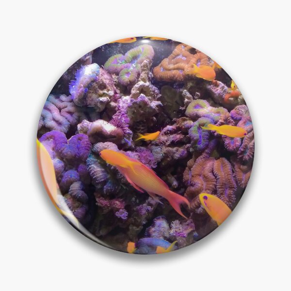 Item preview, Tropical Fish in Aquarium Reef designed and sold by samjsphoto.