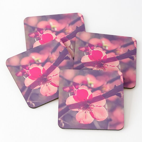 Item preview, Let your light shine through designed and sold by Linda Lees.