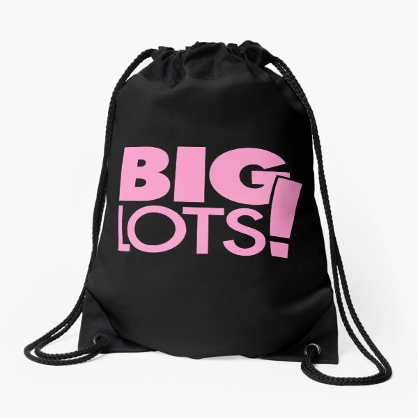 big lots bags