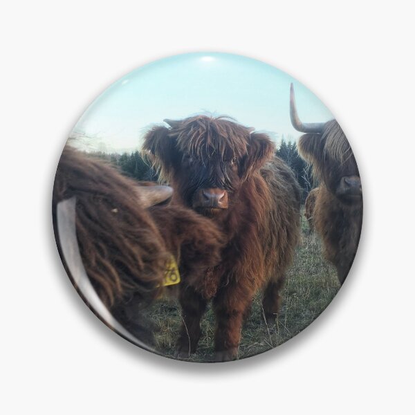 Item preview, Scottish Highland Cattle Calves 1851 designed and sold by SaarelaHighland.