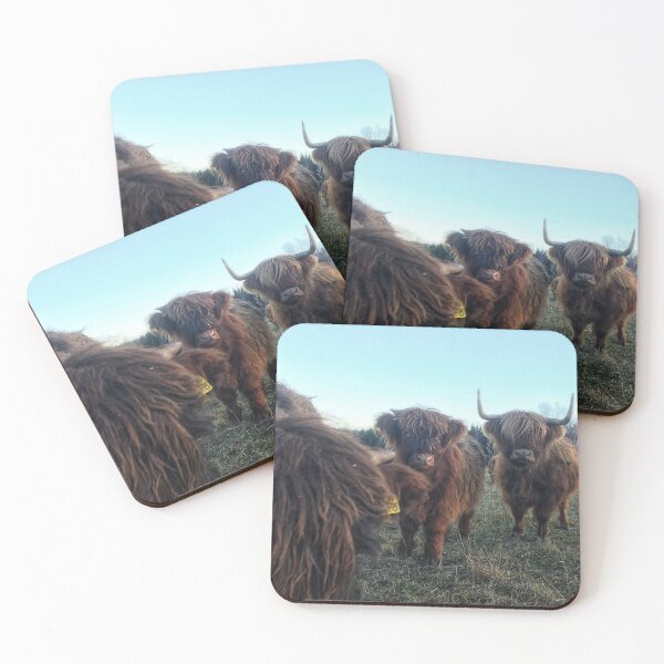 Item preview, Scottish Highland Cattle Calves 1851 designed and sold by SaarelaHighland.