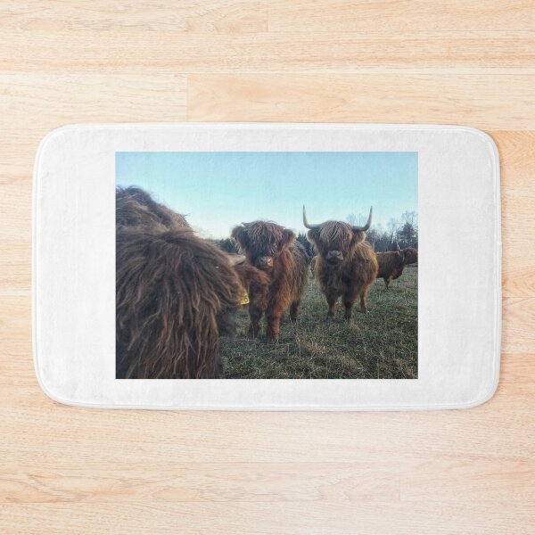 Item preview, Scottish Highland Cattle Calves 1851 designed and sold by SaarelaHighland.