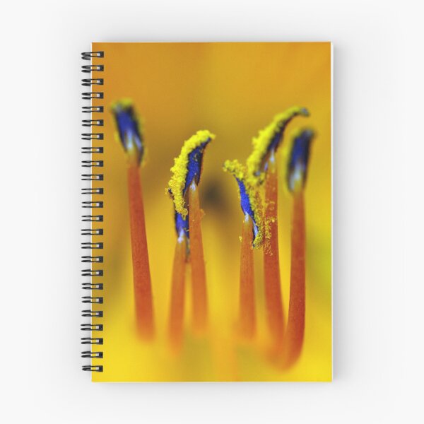 Item preview, Beauty Within designed and sold by CBoyle.