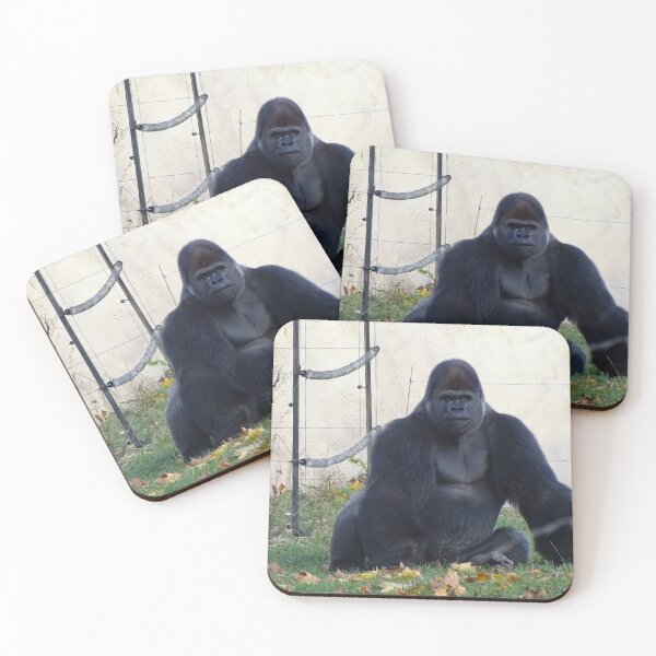Item preview, I'm bringing Silverback designed and sold by Catavan.