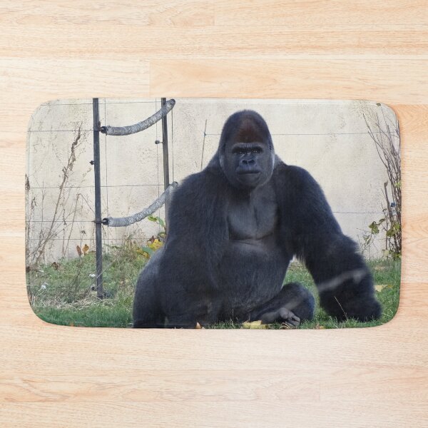 Item preview, I'm bringing Silverback designed and sold by Catavan.