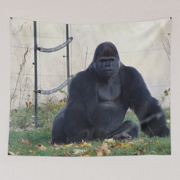 Item preview, Estoy trayendo Silverback designed and sold by Catavan.