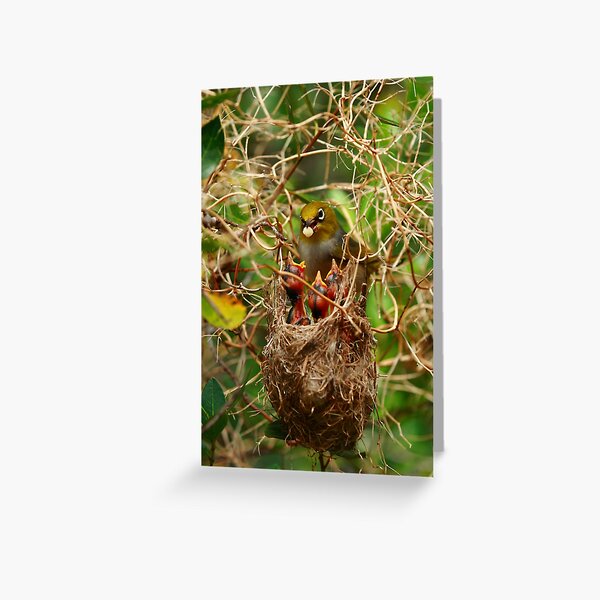 Dinner Is Served Greeting Card