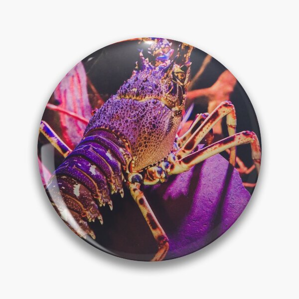 Item preview, Underwater Colourful Lobster Photograph designed and sold by samjsphoto.