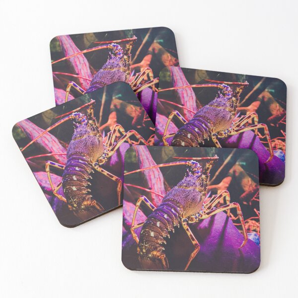 Item preview, Underwater Colourful Lobster Photograph designed and sold by samjsphoto.