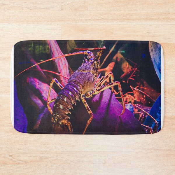 Item preview, Underwater Colourful Lobster Photograph designed and sold by samjsphoto.
