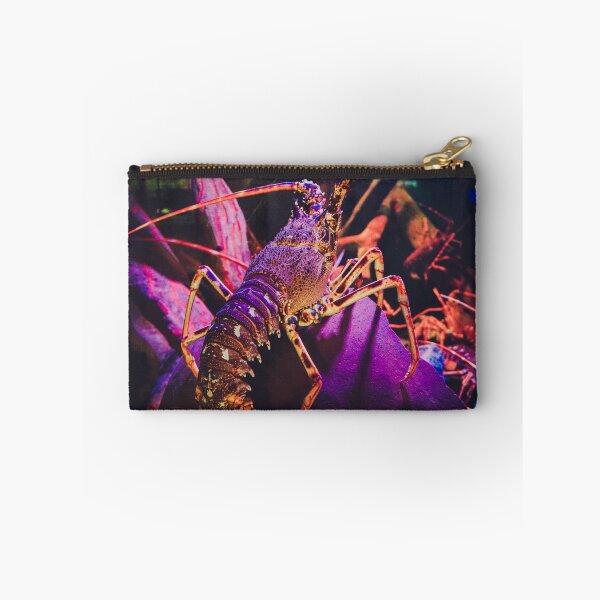 Item preview, Underwater Colourful Lobster Photograph designed and sold by samjsphoto.