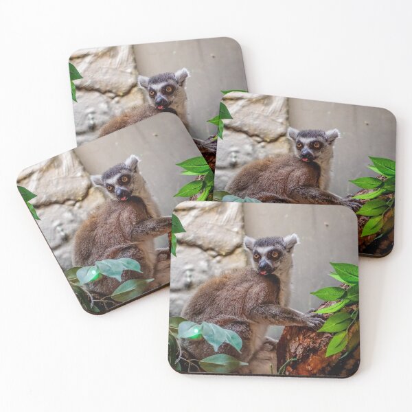 Item preview, Lemur Sticking Tongue Out designed and sold by samjsphoto.