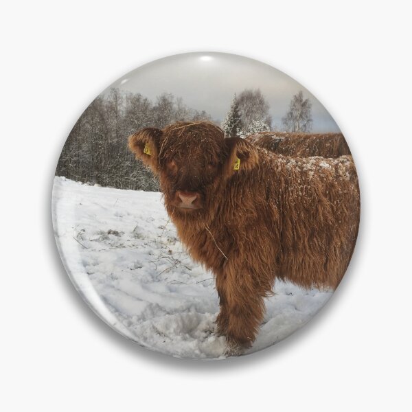 Item preview, Scottish Highland Cattle Calf 1855 designed and sold by SaarelaHighland.