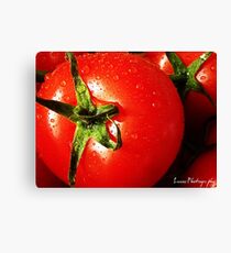 RED RED TOMATOE Canvas Print