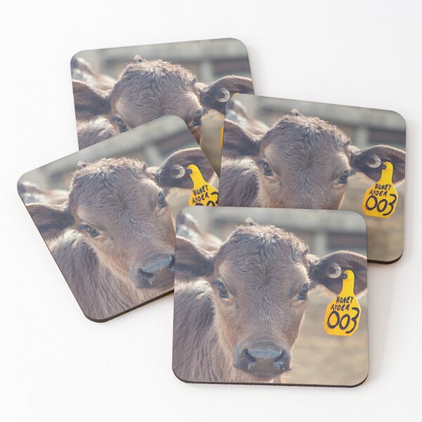 Item preview, Beautiful Jersey Mix Calf Named Honey Ryder designed and sold by crazycow75.