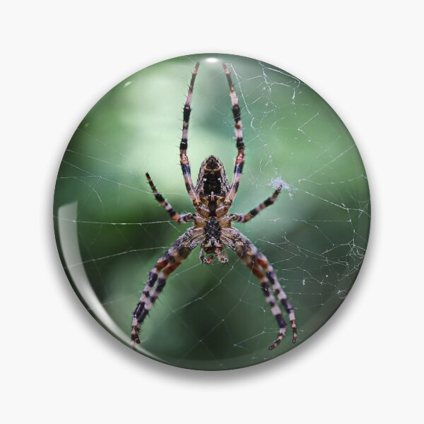 Item preview, Cross Spider Macro on the Web - Cute Spiders Gifts designed and sold by r-silver.
