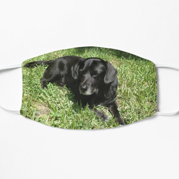 JoJo in the Grass Mask