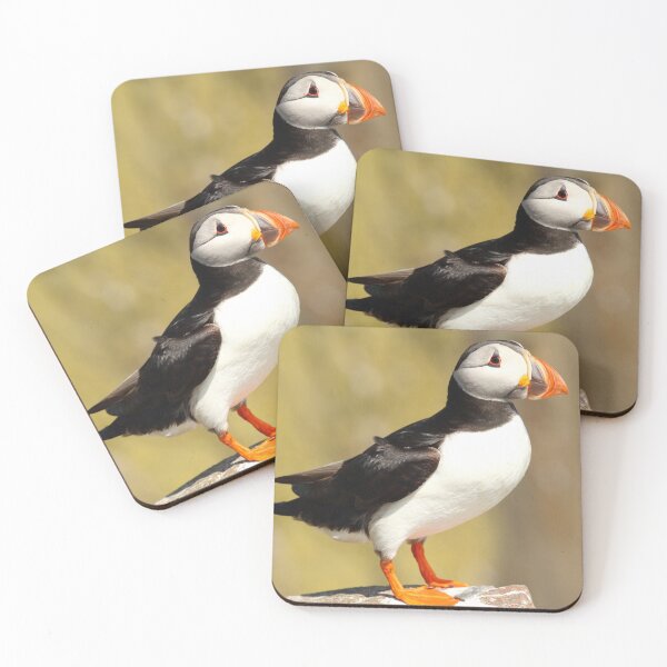 Item preview, Puffin My Chest Out designed and sold by CBoyle.