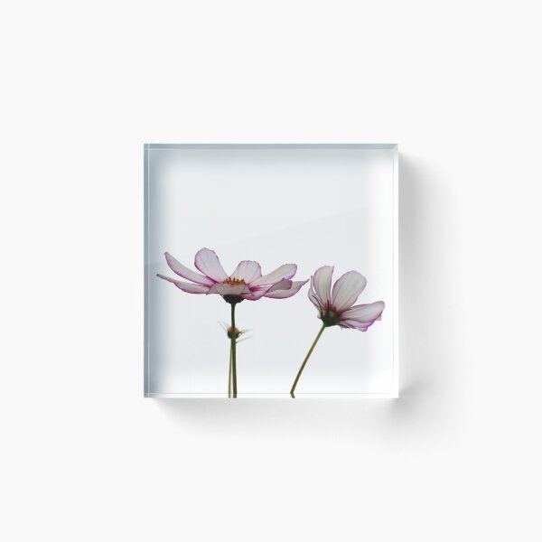 Item preview, Pink Edged designed and sold by Yampimon.