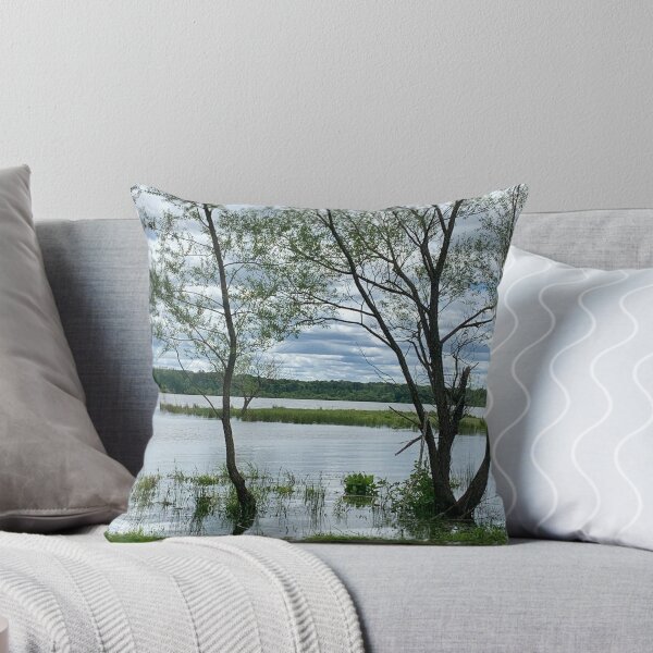 Item preview, Within Stillness designed and sold by Lynnrmorris.