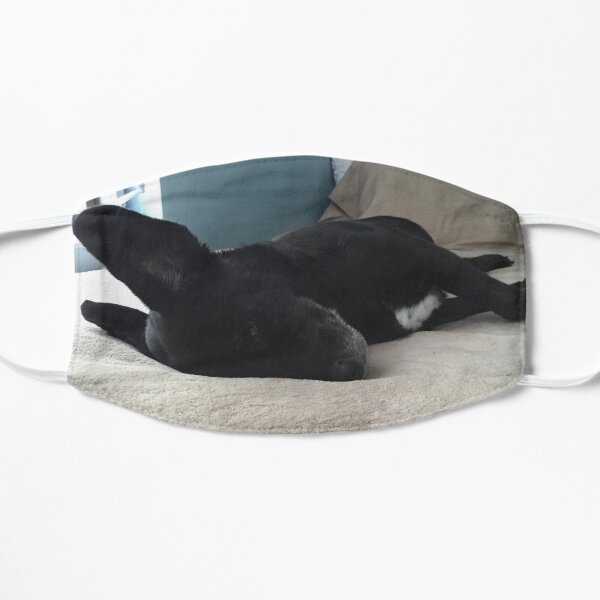 JoJo in the Bed Mask