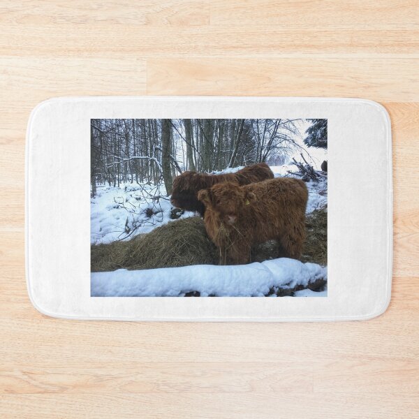 Item preview, Scottish Highland Cattle Calves 1857 designed and sold by SaarelaHighland.