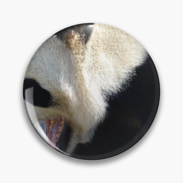 Item preview, Panda bear, Giant panda designed and sold by Ericyaw.