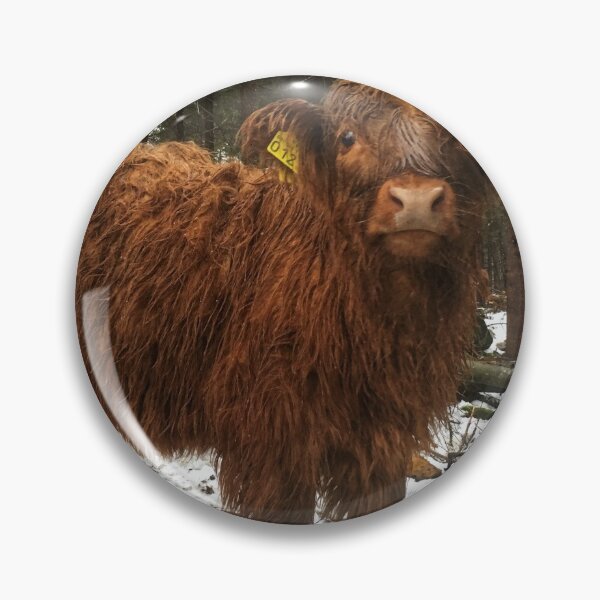 Item preview, Scottish Highland Cattle Calf 1858 designed and sold by SaarelaHighland.