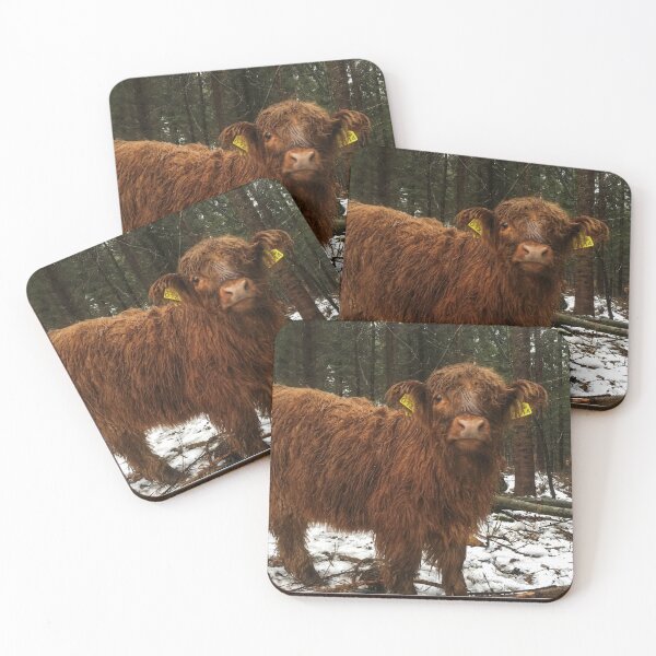 Item preview, Scottish Highland Cattle Calf 1858 designed and sold by SaarelaHighland.