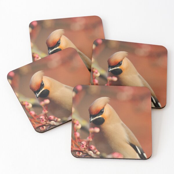 Item preview, Winter's Beauty designed and sold by CBoyle.