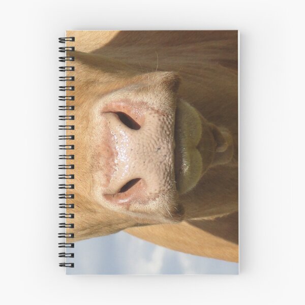 Item preview, Moo Snout 3 designed and sold by Barrie Woodward.