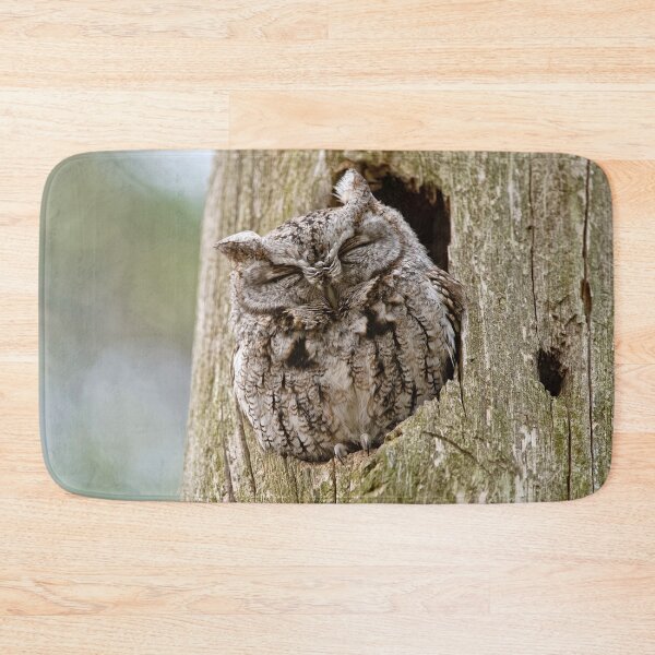 Item preview, Sleeping Screech Owl designed and sold by Michael Cummings.