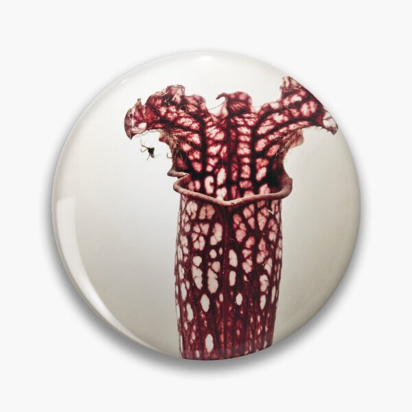 Item preview, Carnivorous plant designed and sold by SofiaAlves.