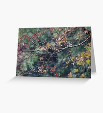 Rainstorm Greeting Card