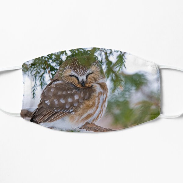 Sleeping Northern Saw Whet Owl - Ottawa, Ontario Flat Mask