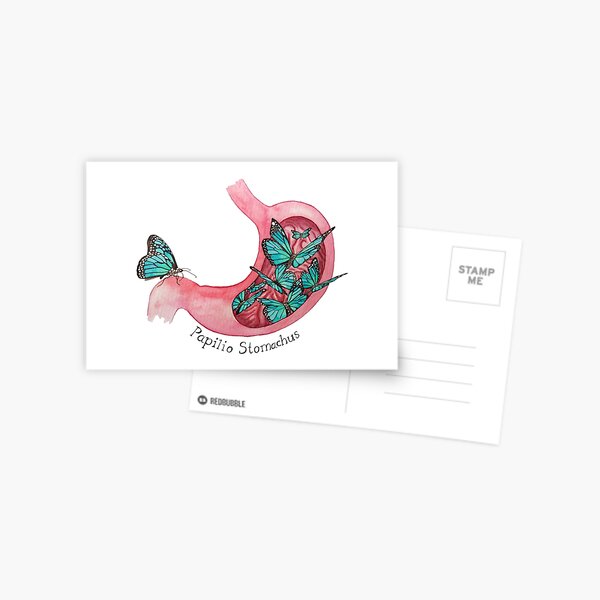 Papilio Stomachus Postcard