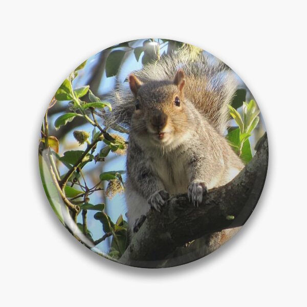 Item preview, Smiling Squirrel  designed and sold by WildandDivine.