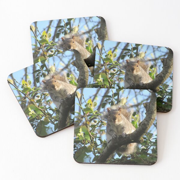 Item preview, Smiling Squirrel  designed and sold by WildandDivine.