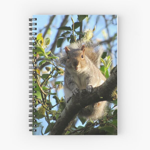 Item preview, Smiling Squirrel  designed and sold by WildandDivine.