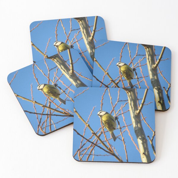 Item preview, Bluetit designed and sold by WildandDivine.